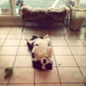 Meet your Posher, Cayly